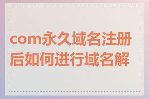 com永久域名注册后如何进行域名解析