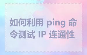 如何利用 ping 命令测试 IP 连通性