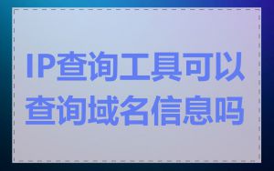 IP查询工具可以查询域名信息吗