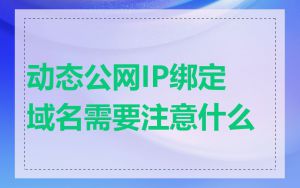 动态公网IP绑定域名需要注意什么