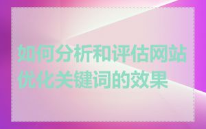 如何分析和评估网站优化关键词的效果