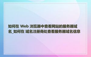 如何在 Web 浏览器中查看网站的服务器域名_如何在 域名注册商处查看服务器域名信息