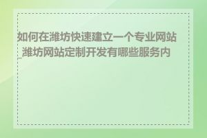 如何在潍坊快速建立一个专业网站_潍坊网站定制开发有哪些服务内容