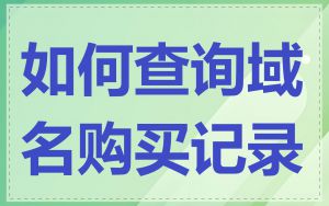 如何查询域名购买记录