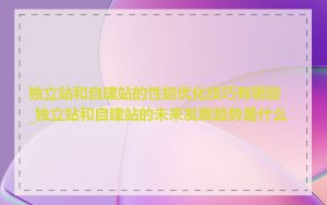 独立站和自建站的性能优化技巧有哪些_独立站和自建站的未来发展趋势是什么