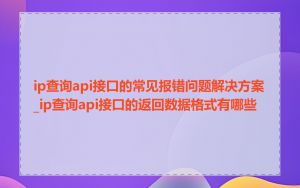 ip查询api接口的常见报错问题解决方案_ip查询api接口的返回数据格式有哪些