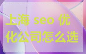 上海 seo 优化公司怎么选