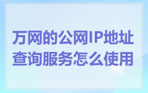 万网的公网IP地址查询服务怎么使用