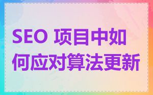 SEO 项目中如何应对算法更新