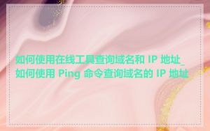 如何使用在线工具查询域名和 IP 地址_如何使用 Ping 命令查询域名的 IP 地址