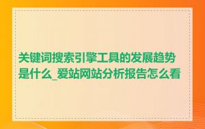 关键词搜索引擎工具的发展趋势是什么_爱站网站分析报告怎么看