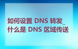 如何设置 DNS 转发_什么是 DNS 区域传送