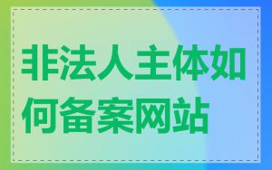 非法人主体如何备案网站