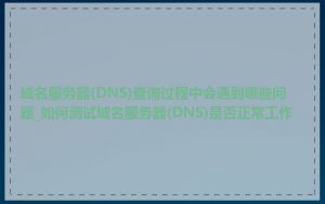 域名服务器(DNS)查询过程中会遇到哪些问题_如何测试域名服务器(DNS)是否正常工作