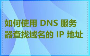 如何使用 DNS 服务器查找域名的 IP 地址