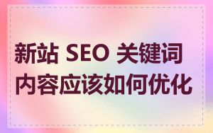 新站 SEO 关键词内容应该如何优化