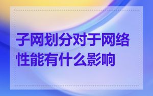 子网划分对于网络性能有什么影响