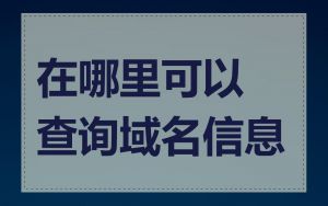 在哪里可以查询域名信息