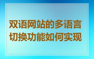 双语网站的多语言切换功能如何实现