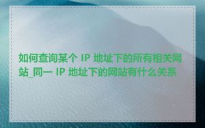 如何查询某个 IP 地址下的所有相关网站_同一 IP 地址下的网站有什么关系