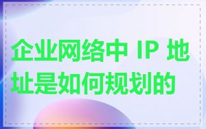 企业网络中 IP 地址是如何规划的