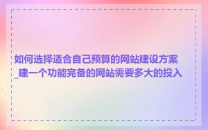 如何选择适合自己预算的网站建设方案_建一个功能完备的网站需要多大的投入