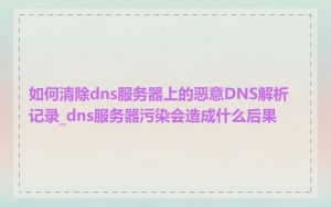 如何清除dns服务器上的恶意DNS解析记录_dns服务器污染会造成什么后果