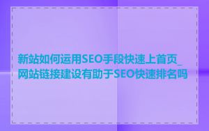 新站如何运用SEO手段快速上首页_网站链接建设有助于SEO快速排名吗