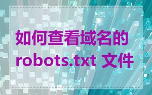 如何查看域名的 robots.txt 文件