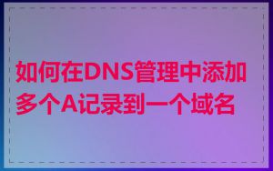 如何在DNS管理中添加多个A记录到一个域名