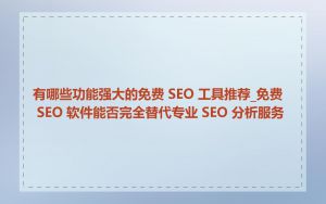 有哪些功能强大的免费 SEO 工具推荐_免费 SEO 软件能否完全替代专业 SEO 分析服务