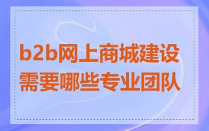 b2b网上商城建设需要哪些专业团队