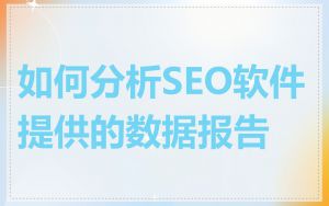 如何分析SEO软件提供的数据报告