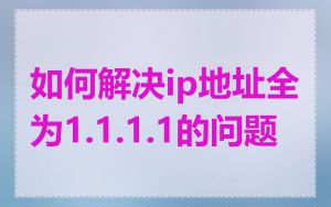 如何解决ip地址全为1.1.1.1的问题