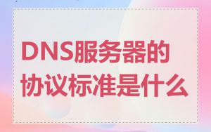 DNS服务器的协议标准是什么