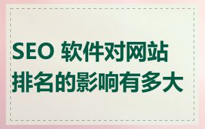 SEO 软件对网站排名的影响有多大