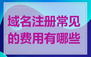 域名注册常见的费用有哪些