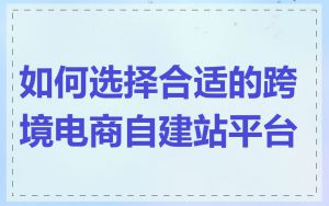 如何选择合适的跨境电商自建站平台