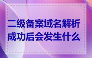 二级备案域名解析成功后会发生什么