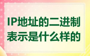 IP地址的二进制表示是什么样的