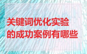 关键词优化实验的成功案例有哪些