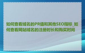 如何查看域名的PR值和其他SEO指标_如何查看网站域名的注册时长和购买时间