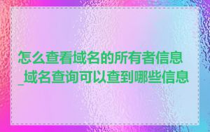 怎么查看域名的所有者信息_域名查询可以查到哪些信息