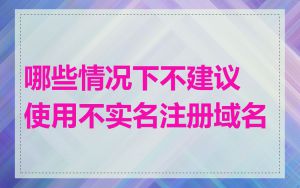 哪些情况下不建议使用不实名注册域名