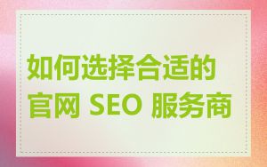 如何选择合适的官网 SEO 服务商