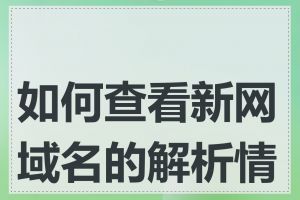 如何查看新网域名的解析情况