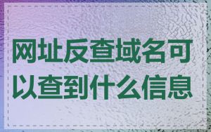 网址反查域名可以查到什么信息