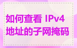 如何查看 IPv4 地址的子网掩码