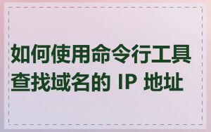 如何使用命令行工具查找域名的 IP 地址