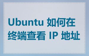 Ubuntu 如何在终端查看 IP 地址